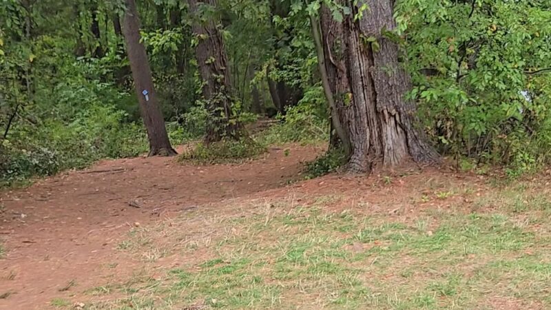 Giuffrida Park Loop - Meriden, CT