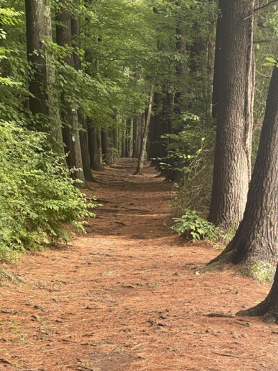 Giuffrida Park Loop - Meriden, CT