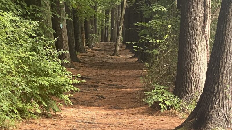 Giuffrida Park Loop - Meriden, CT