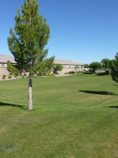 Americana Park at Mulberry - Mesa, AZ