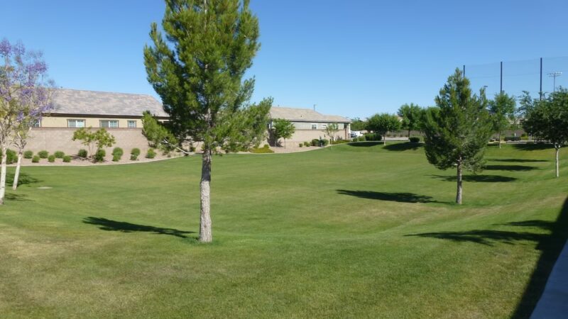 Americana Park at Mulberry - Mesa, AZ