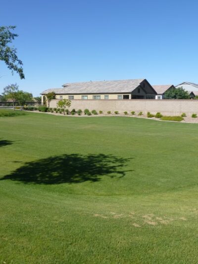 Americana Park at Mulberry - Mesa, AZ