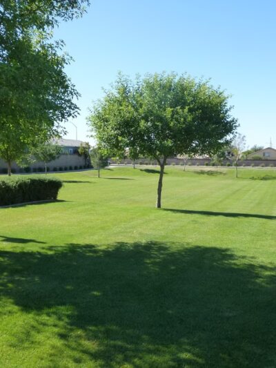 Americana Park at Mulberry - Mesa, AZ