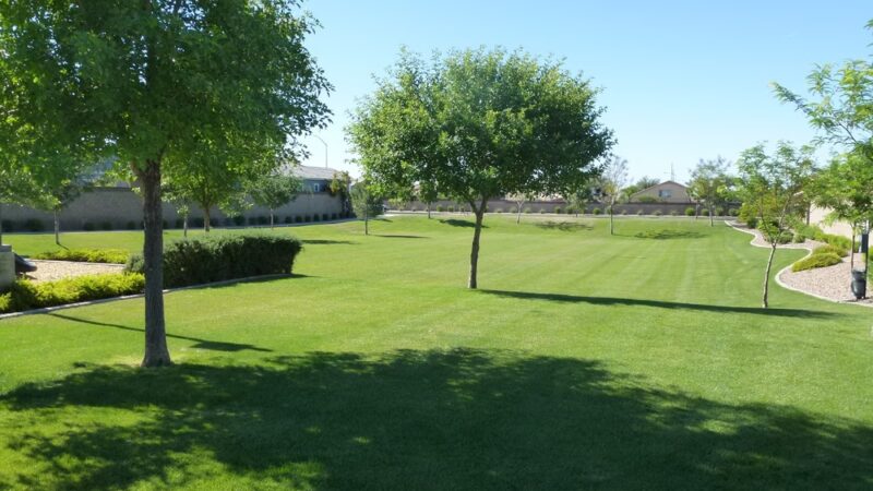 Americana Park at Mulberry - Mesa, AZ