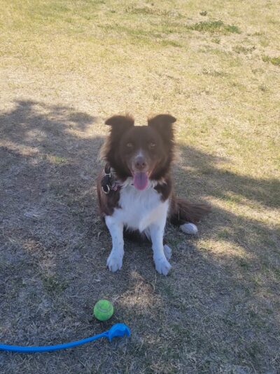 Aripine Park - Mesa, AZ