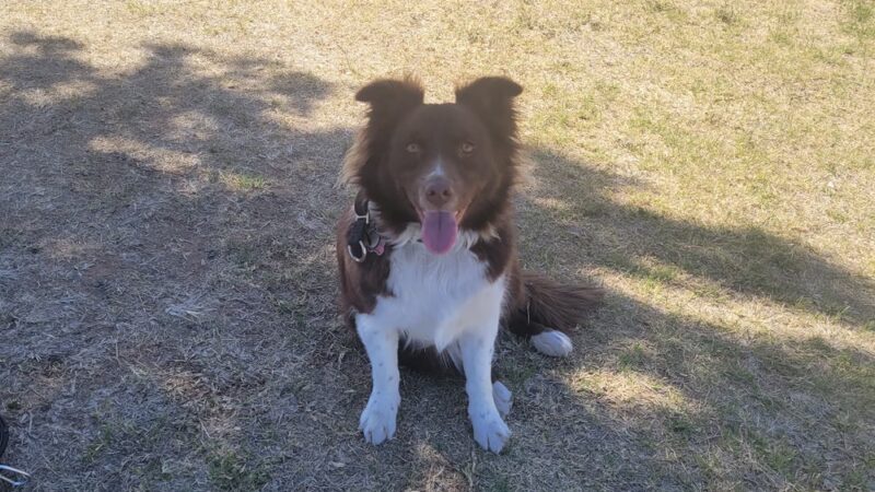 Aripine Park - Mesa, AZ