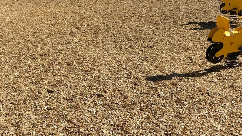 Augusta Ranch Park - Mesa, AZ