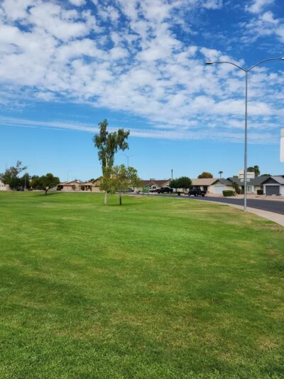 Enid Park - Mesa, AZ