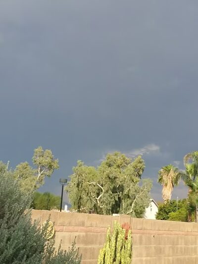 Enid Park - Mesa, AZ