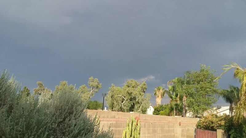 Enid Park - Mesa, AZ