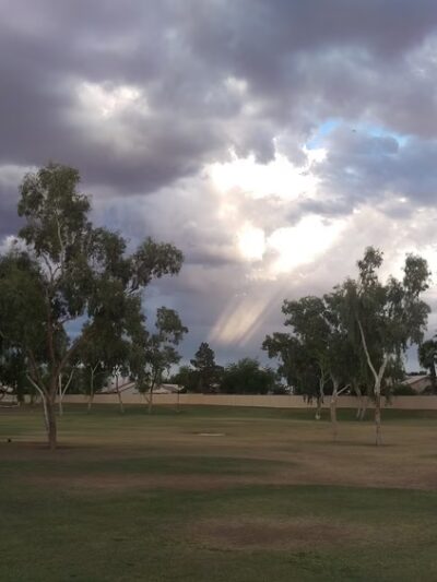Enid Park - Mesa, AZ
