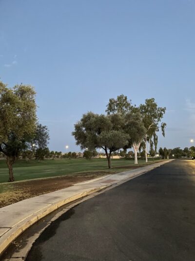 Harmony Park - Mesa, AZ