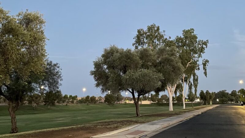 Harmony Park - Mesa, AZ