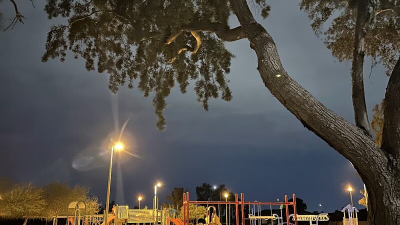 Harmony Park - Mesa, AZ