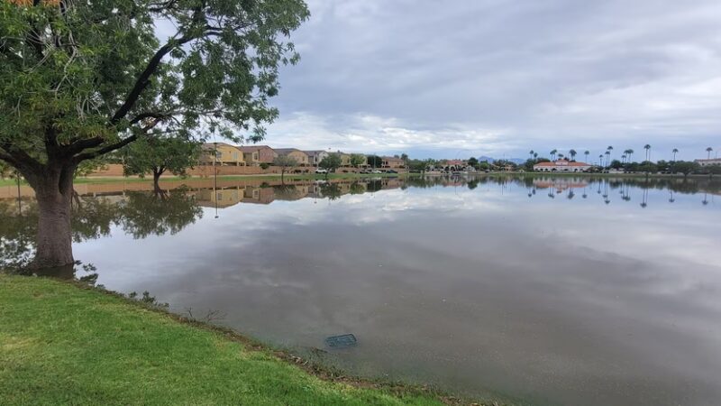 Holmes Park, Basin - Mesa, AZ