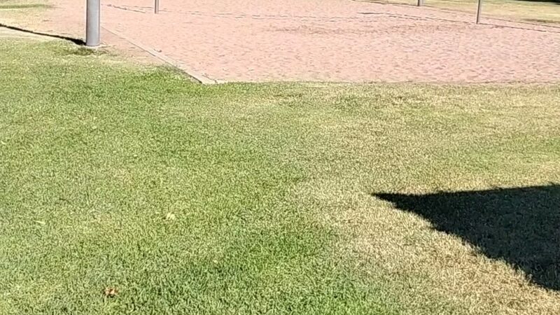 Jefferson Park Playground - Mesa, AZ