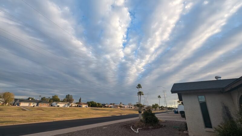 Los Alamos Park - Mesa, AZ