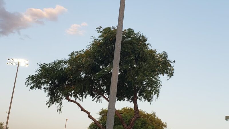 Quail Run Soccer Field 4 - Mesa, AZ