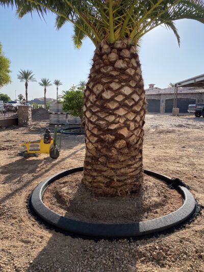 Ranch West Park, Basin - Mesa, AZ