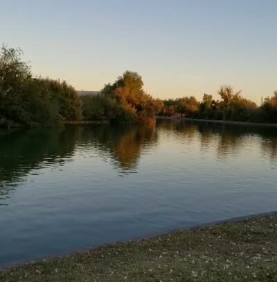 Red Mountain Park - Mesa, AZ