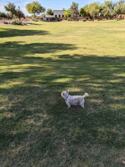 Santa Rita Ranch Park - Mesa, AZ