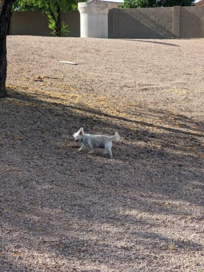 Santa Rita Ranch Park - Mesa, AZ