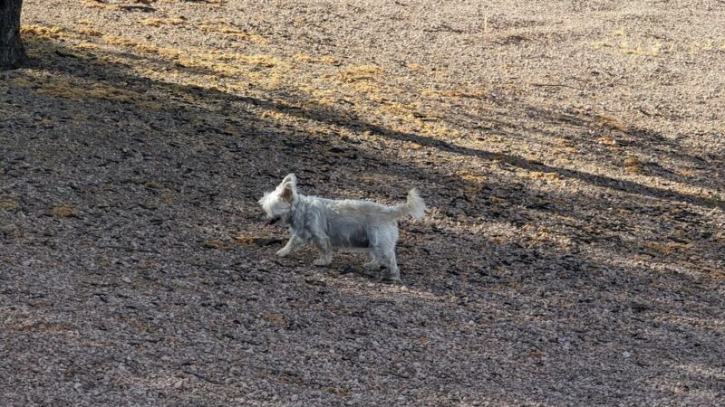 Santa Rita Ranch Park - Mesa, AZ