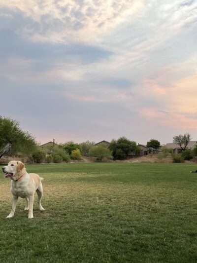 Sonoran Heights Park - Mesa, AZ