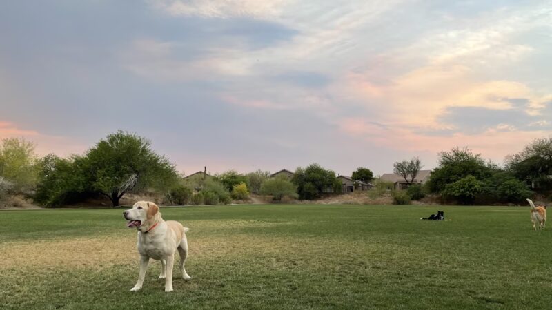 Sonoran Heights Park - Mesa, AZ