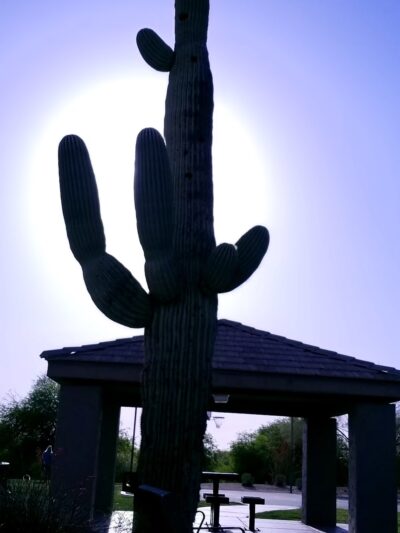 Sonoran Heights Park - Mesa, AZ