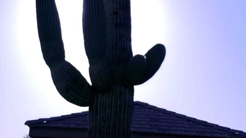Sonoran Heights Park - Mesa, AZ