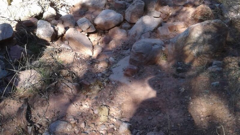 Sonoran Heights Park - Mesa, AZ