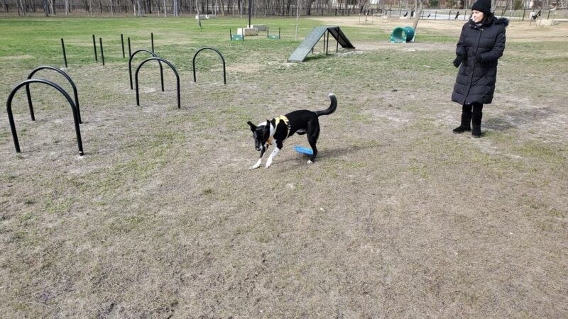 Copeland Dog Park - Mesquite, TX