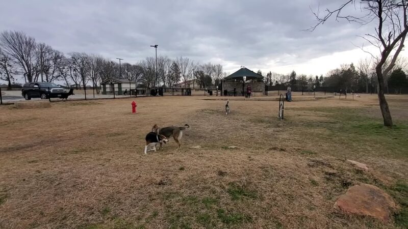 Copeland Dog Park - Mesquite, TX