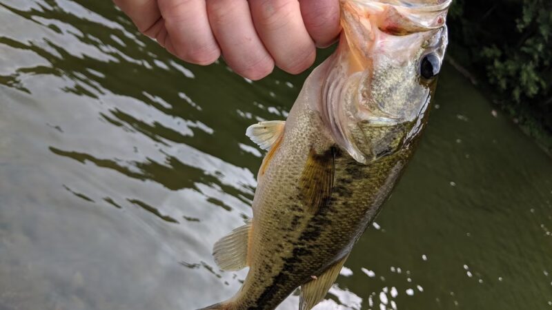 Big Run Lake - Metz, WV