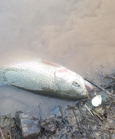 Big Run Lake - Metz, WV