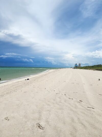 Bark Beach - Miami Beach, FL