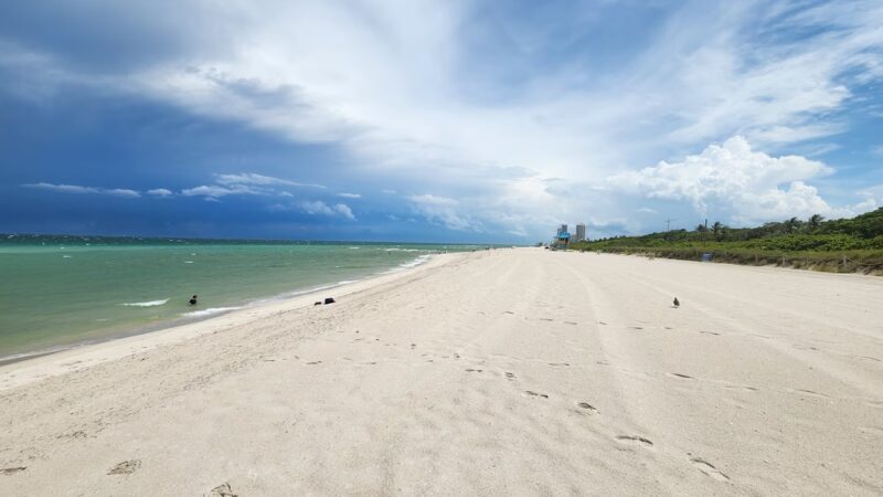 Bark Beach - Miami Beach, FL