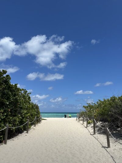 Bark Beach - Miami Beach, FL
