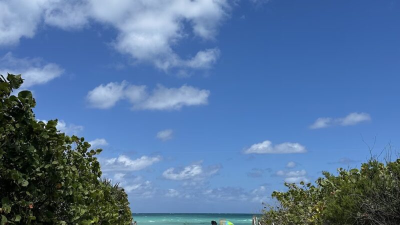 Bark Beach - Miami Beach, FL