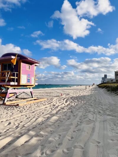 Bark Beach - Miami Beach, FL