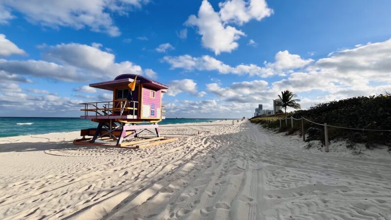 Bark Beach - Miami Beach, FL
