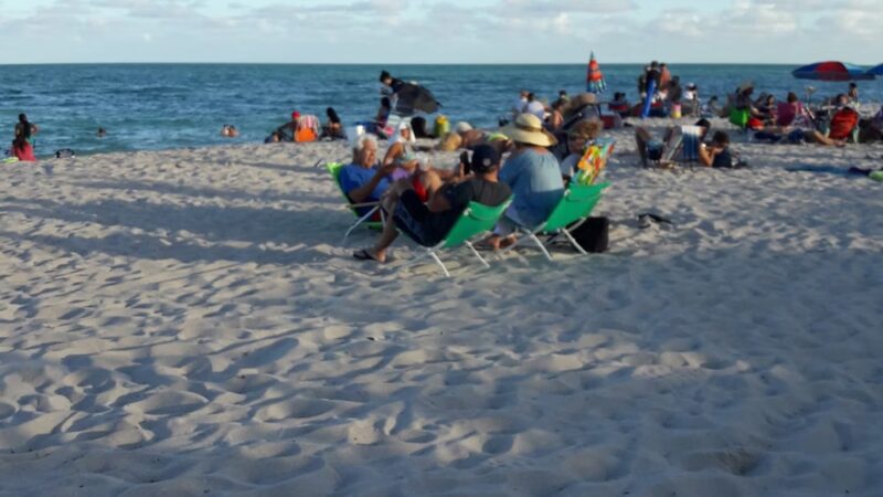 Bark Beach - Miami Beach, FL
