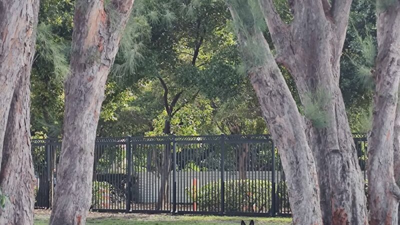 Dog park - Miami Beach, FL