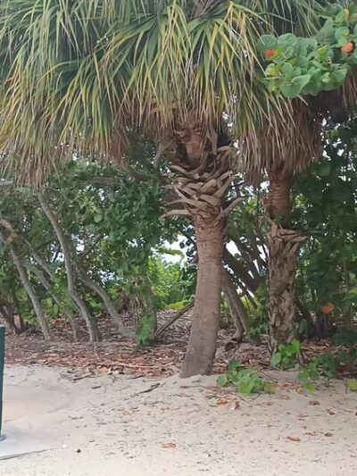 Haulover Park - Miami Beach, FL