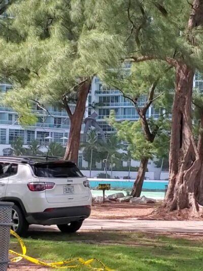 Haulover Park Bayside Picnic Area - Miami Beach, FL