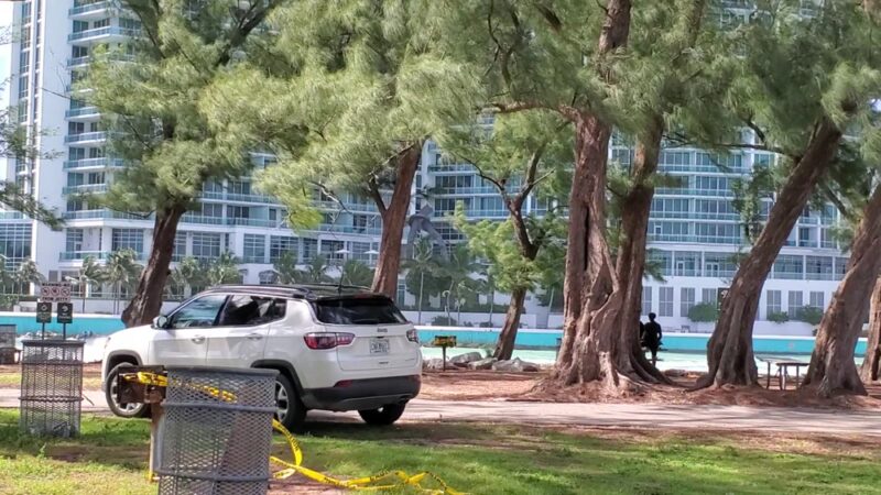 Haulover Park Bayside Picnic Area - Miami Beach, FL