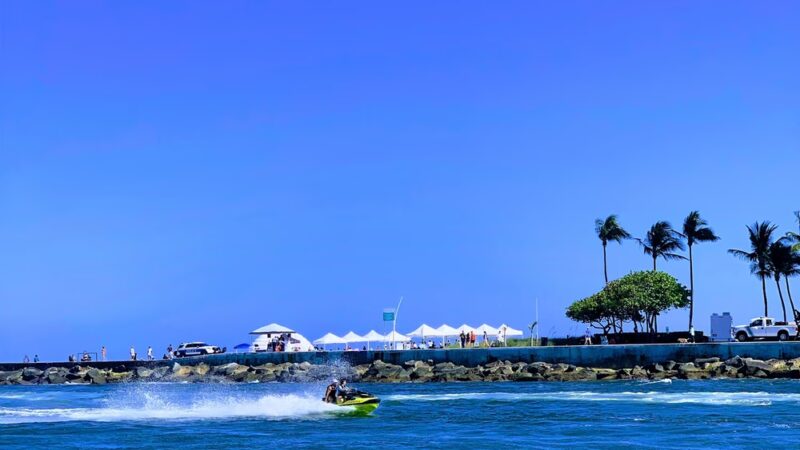 Haulover Park Bayside Picnic Area - Miami Beach, FL