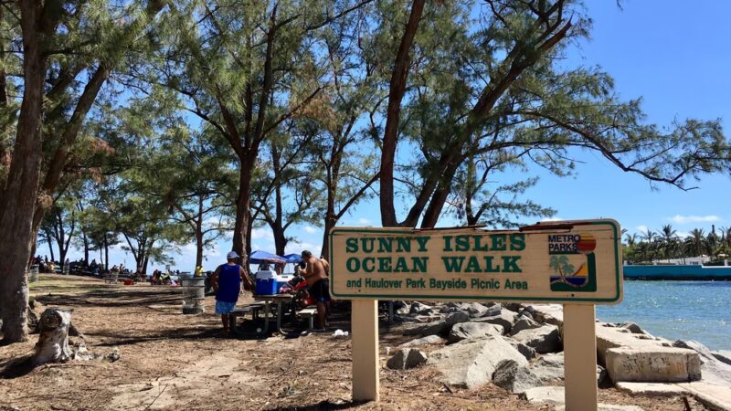 Haulover Park Bayside Picnic Area - Miami Beach, FL