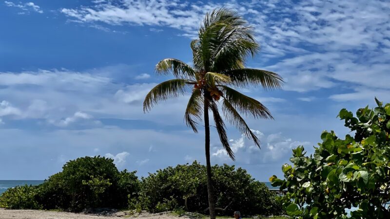Haulover Park Bayside Picnic Area - Miami Beach, FL